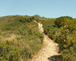 Tunnels de Sernhac