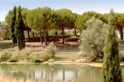 Parc du Levant Palavas hérault