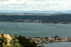 Vue sur l'étang de Thau Sète