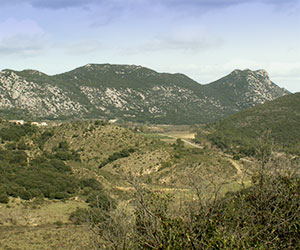 Panorama depuis le castellas de Montoulieu