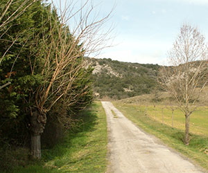 Balade au Castellas de Montoulieu