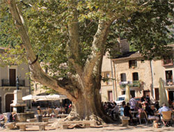 Place de l'abbaye - Saint Guilhem le Désert