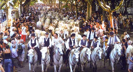 Fête camarguaise - Lunel, Hérault