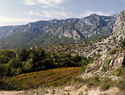 Vallée de la Buèges