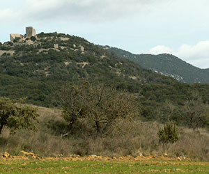 Visiter le village de Montoulieu Hérault