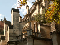 Cathédrale Saint-Pierre - Montpellier