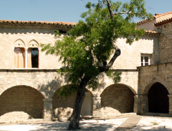 Saint-Jean-De-Cuculles - Hérault