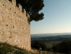 Castellas de Montpeyroux