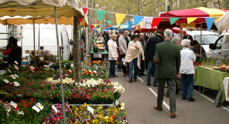 Marché paysan d'Antigone - Montpellier