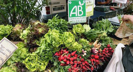 Marché des producteurs et Bio du Grau du Roi - Gard