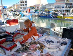 Marché à la criée des pêcheurs palavasiens 1