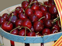 Cerises Catalane de Céret