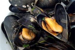 Moules de Bouzigues Etang de Thau