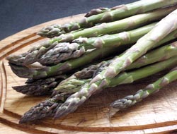 Asperges du Languedoc