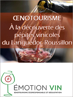 Emotion Vin Oenotourisme Ecoresponsable