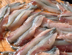 Anchois marinés lever les filets