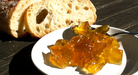 Confiture de citre - gigérine