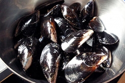 Moules de Bouzigues