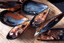 Moules de Bouzigues à la Sétoise