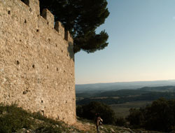 Mur d'enceinte du Castellas