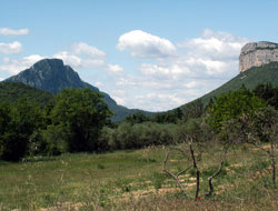 Le pic saint Loup Face à l'Hortus