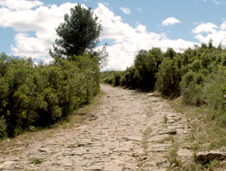 Voie Domitienne et garrigue