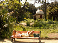 Flaner au jardin des plantes - Montpellier