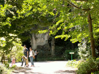 Balade au jardin des Plantes - Montpellier 1