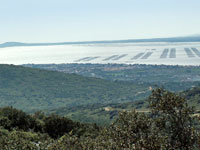 Panorama sur l'étang de Thau et Sète