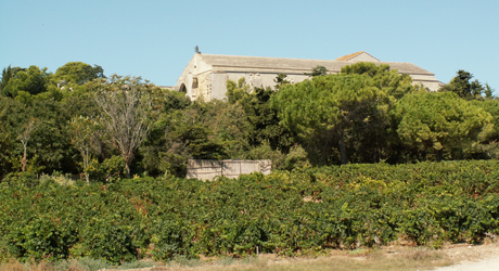 La Cathédrale de Maguelone - Plalavas-les-Flot - Hérault.