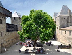 Cour du château Comtal - Carcassonne