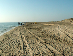 Plage de l'Espiguette - Le Grau du Roi - Gard