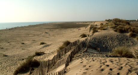 Plage de l'Espiguette - Le Grau du Roi - Gard