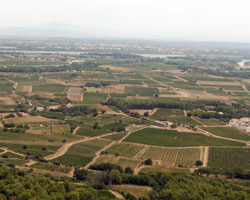 Camp de César - Panorama