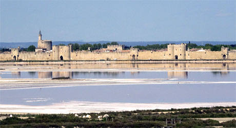 Terre de Camargue